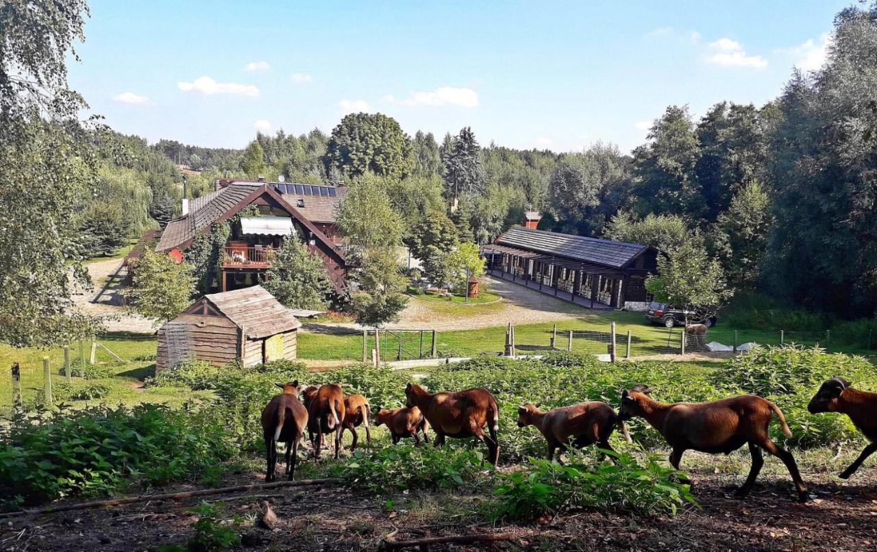 Villa Tamarynowa Osada - Kraina Udanego Wypoczynku Lowyn Esterno foto