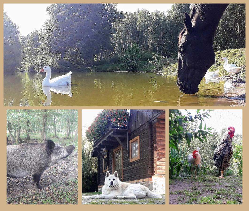 Villa Tamarynowa Osada - Kraina Udanego Wypoczynku Lowyn Esterno foto