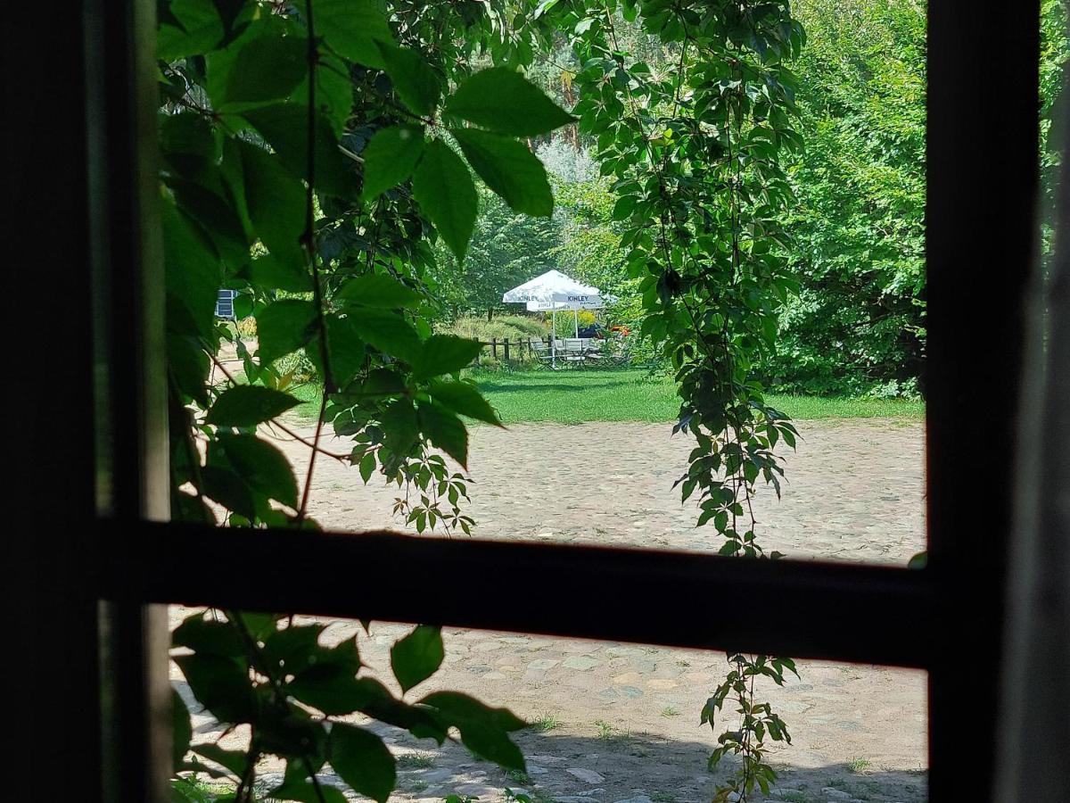 Villa Tamarynowa Osada - Kraina Udanego Wypoczynku Lowyn Esterno foto